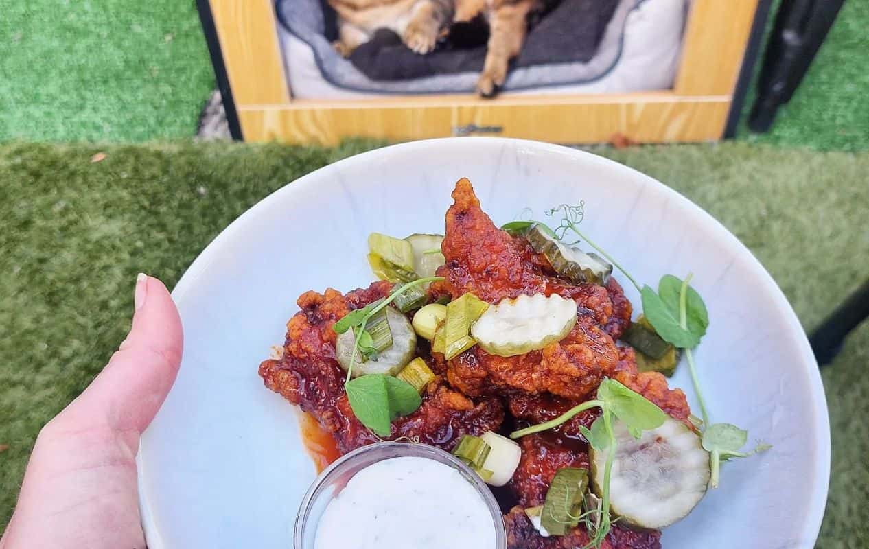 Enjoy Gluten Free options, Vegan options, Vegetarian options, Restaurant, Street parking, Wheelchair accessible, Table service, Free wifi, Dog friendly, $$, Groups and Families cuisine at BambuchiSan in Hataitai, Wellington