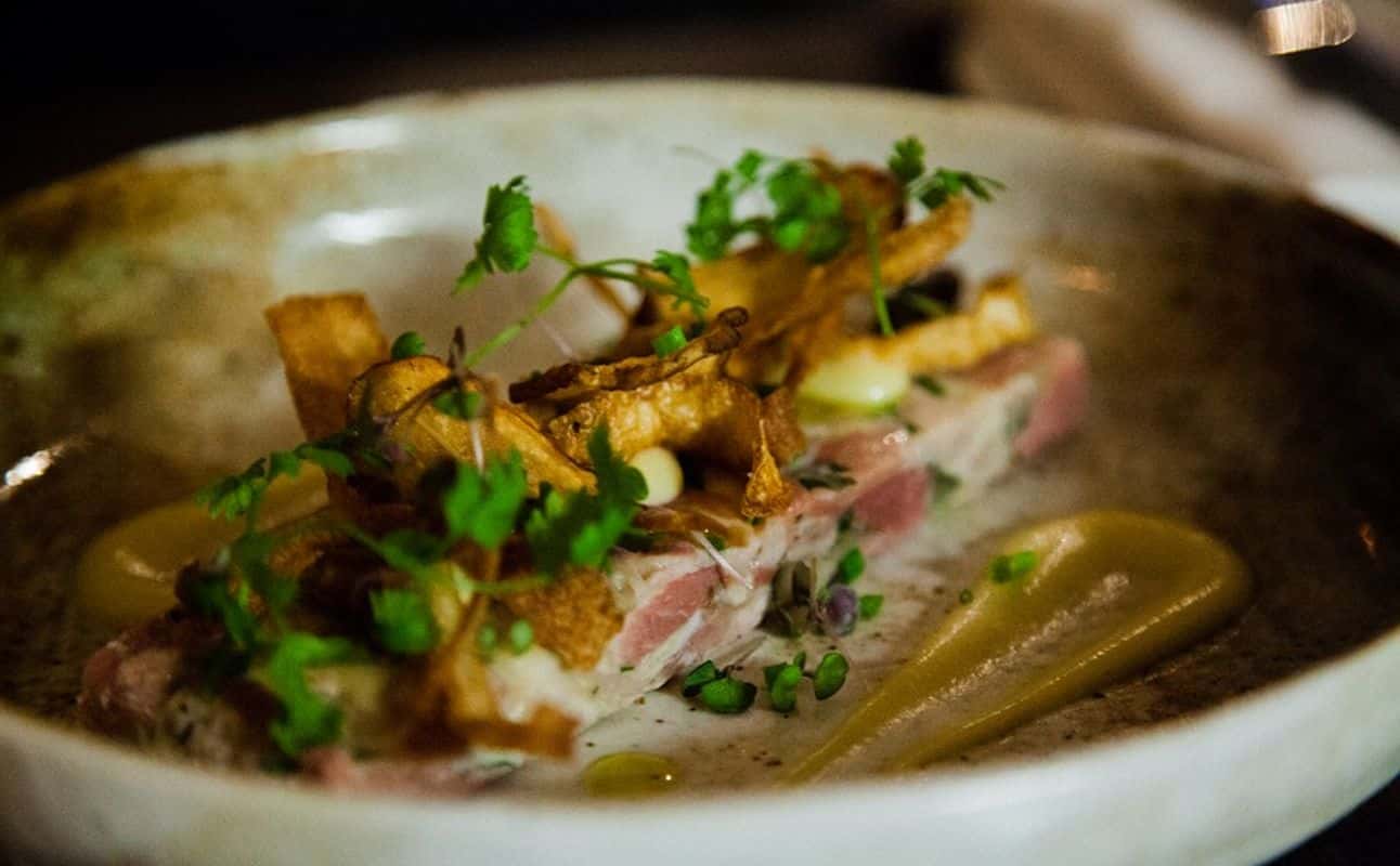 Enjoy New Zealand cuisine at Moxie in Birkenhead, Auckland