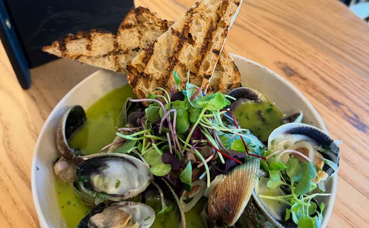 Enjoy European, Vegan options, Vegetarian options, Dairy free options, Gluten Free options, Restaurant, Wine bar, Cocktail bar, Table service, Indoor & outdoor seating, $$$, Families, Groups and Special occasion cuisine at Signal Hill in Devonport, Auckland