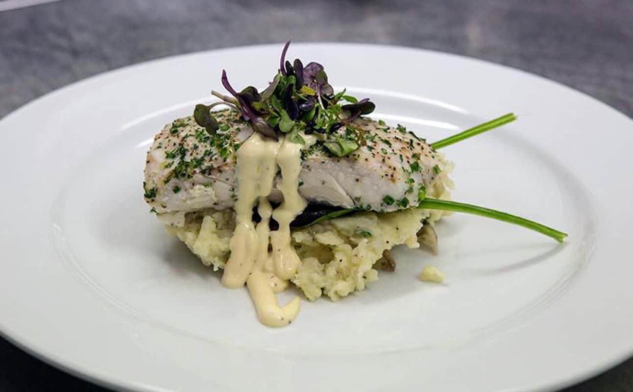 Enjoy New Zealand cuisine at The Cat Bistro in Hastings, Hawke's Bay