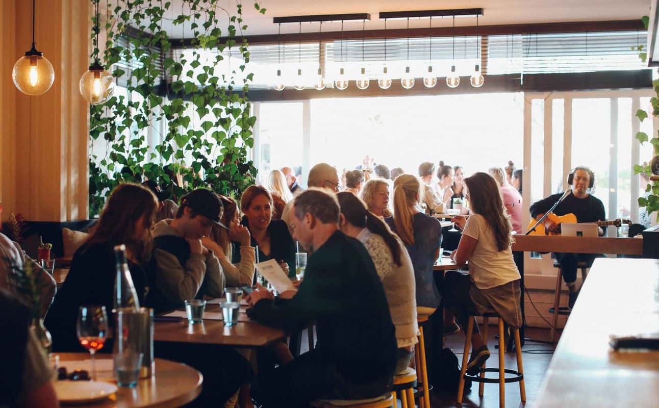 Enjoy Pizza cuisine at MR TOMS in Ponsonby, Auckland