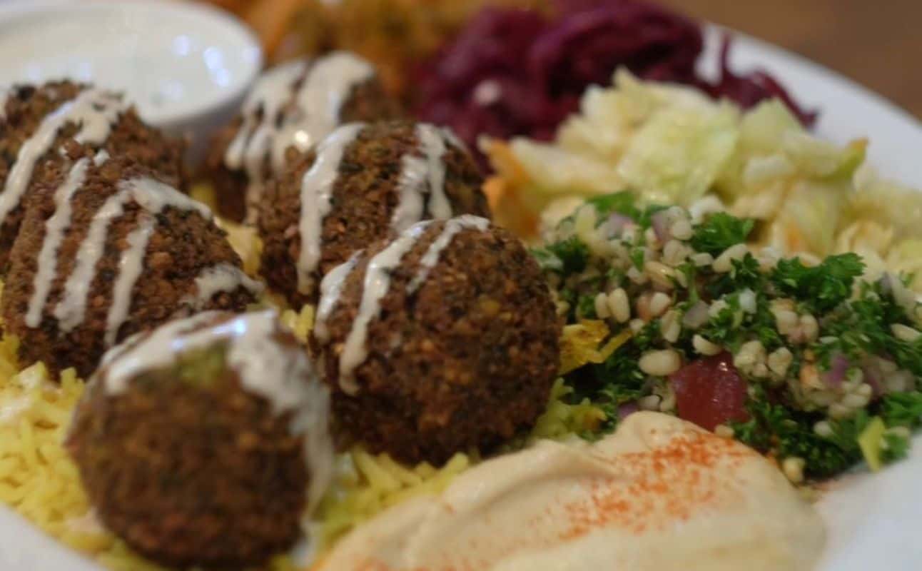 Fat Camel Cafe