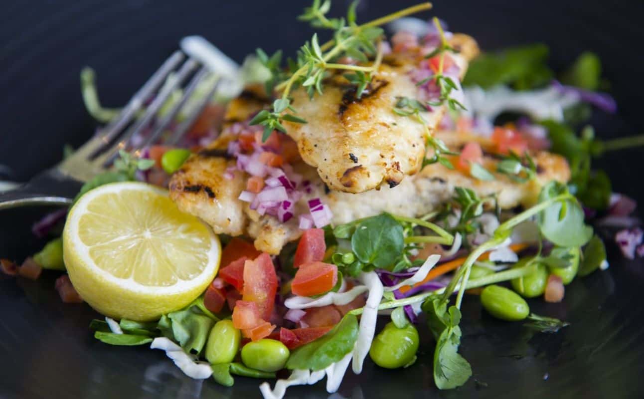 Enjoy Pub Food and New Zealand cuisine at The Fox Sporting Bar And Restaurant in Auckland City Centre, Auckland