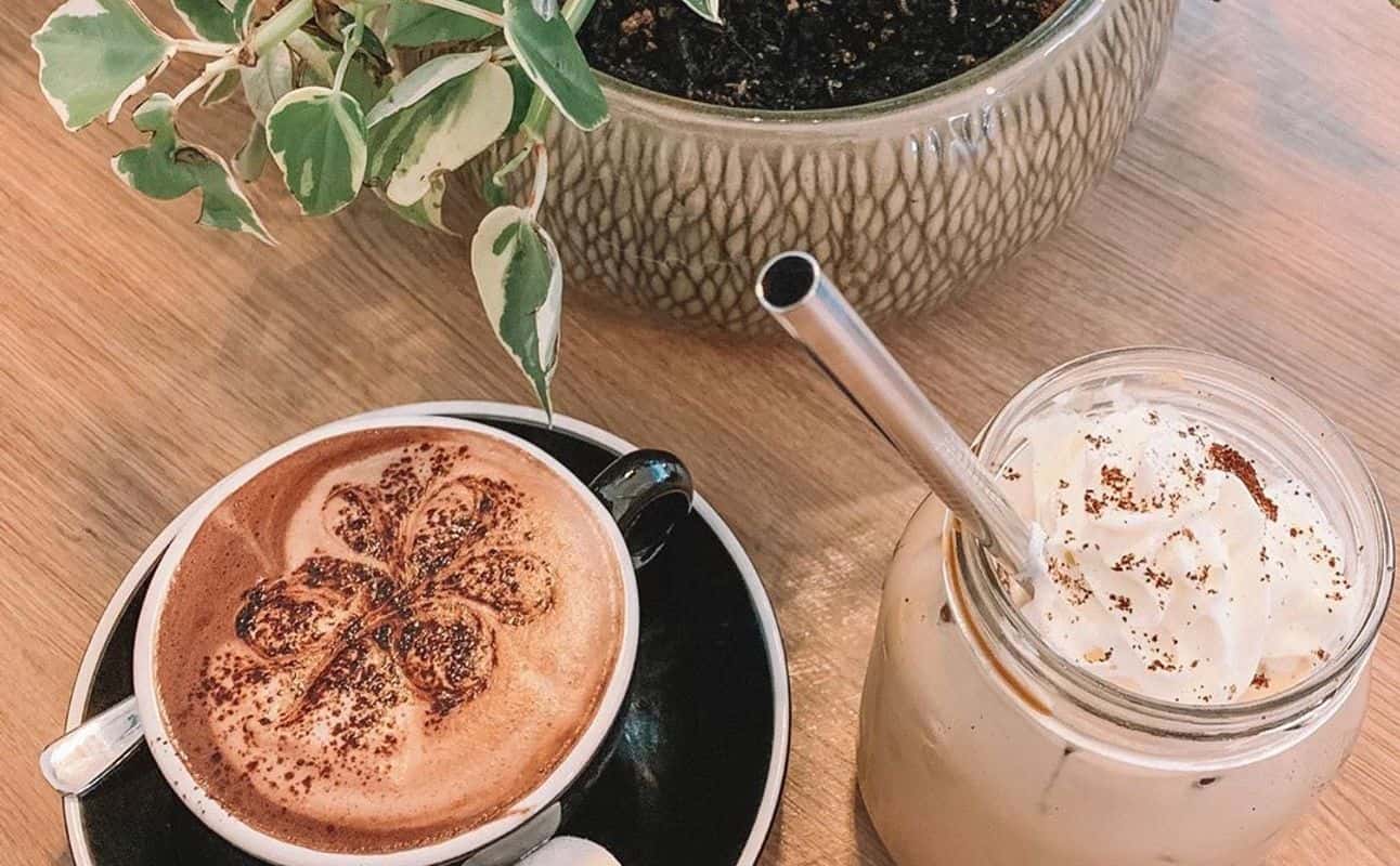 Enjoy New Zealand and Vegetarian cuisine at The Greenhouse Kitchen & Bar Rotorua in Rotorua
