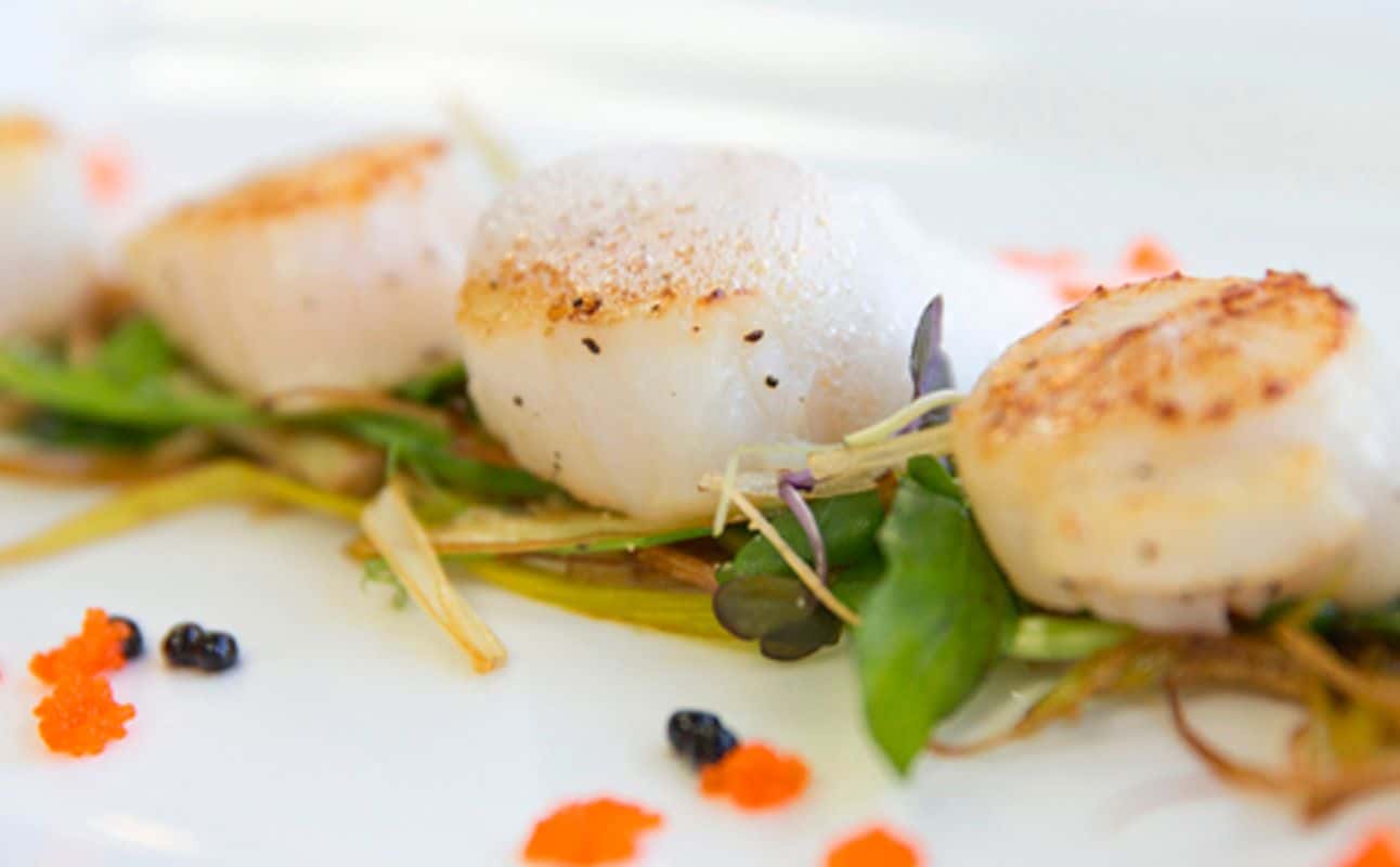 Enjoy New Zealand cuisine at Jimmy Cook's Kiwi Kitchen in Palmerston North, Manawatu