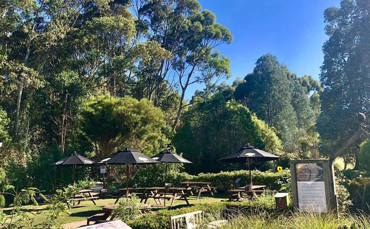 Enjoy Brunch and New Zealand cuisine at The Herb Farm in Palmerston North, Manawatu