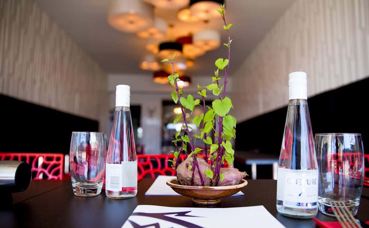 Enjoy Japanese cuisine at Cookai Gold Japanese Cuisine in Papanui, Christchurch