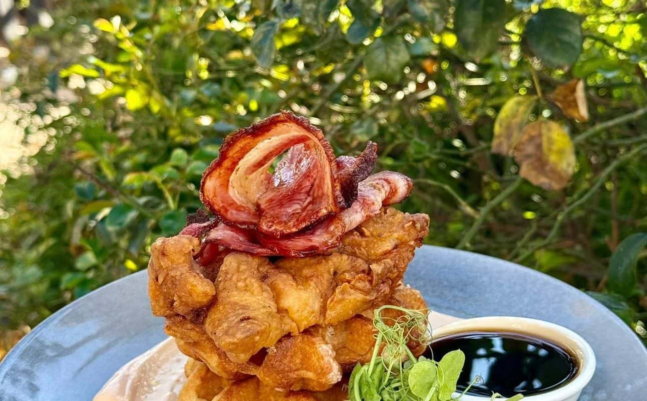 Enjoy British, New Zealand, Gluten Free options, Vegetarian options, Hotel restaurant, Child friendly, Indoor & outdoor seating, Table service, Wheelchair accessible, Highchairs available, $$$, Families, Groups and Kids cuisine at The Honest Lawyer in Monaco, Nelson & Tasman District