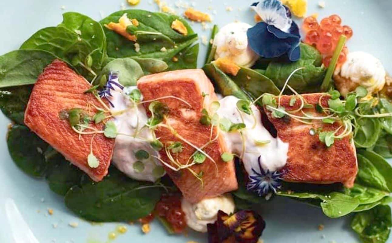 Enjoy New Zealand, Small plates and Wine bar cuisine at Botanic in Christchurch Central, Christchurch