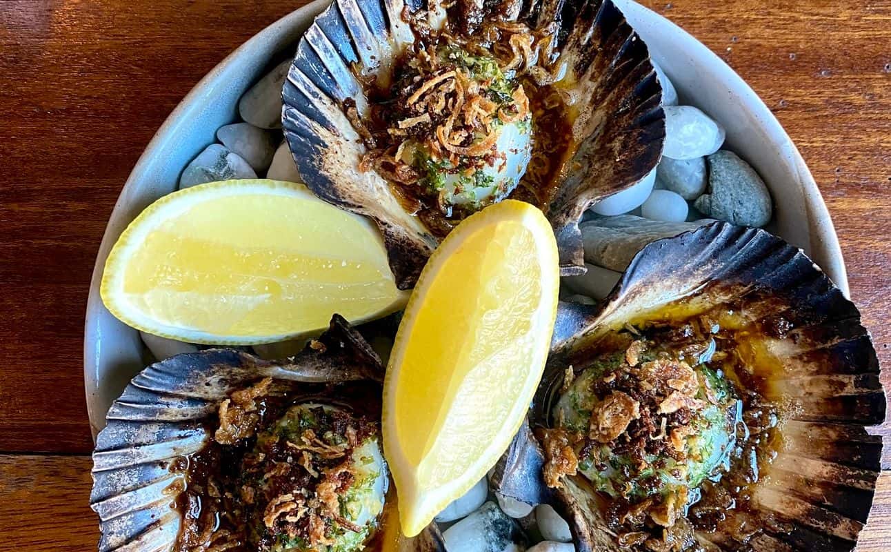 Enjoy Italian, Vegetarian options, Vegan options, Gluten Free options, Restaurant, Dog friendly, Highchairs available, Indoor & outdoor seating, Street parking, Table service, $$$$ and Groups cuisine at Sugo in Tauranga, Bay Of Plenty