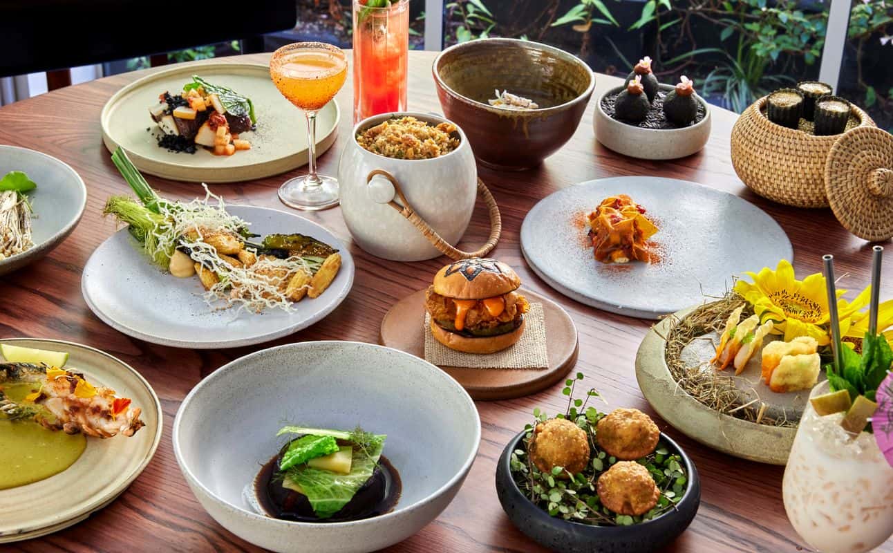 Enjoy Asian, Fusion, Vegetarian options, Vegan options, Gluten Free options, Dairy free options, Halal, Restaurant, Private dining, Free wifi, Table service, $$$$, Groups and Families cuisine at Anise in Auckland City Centre, Auckland