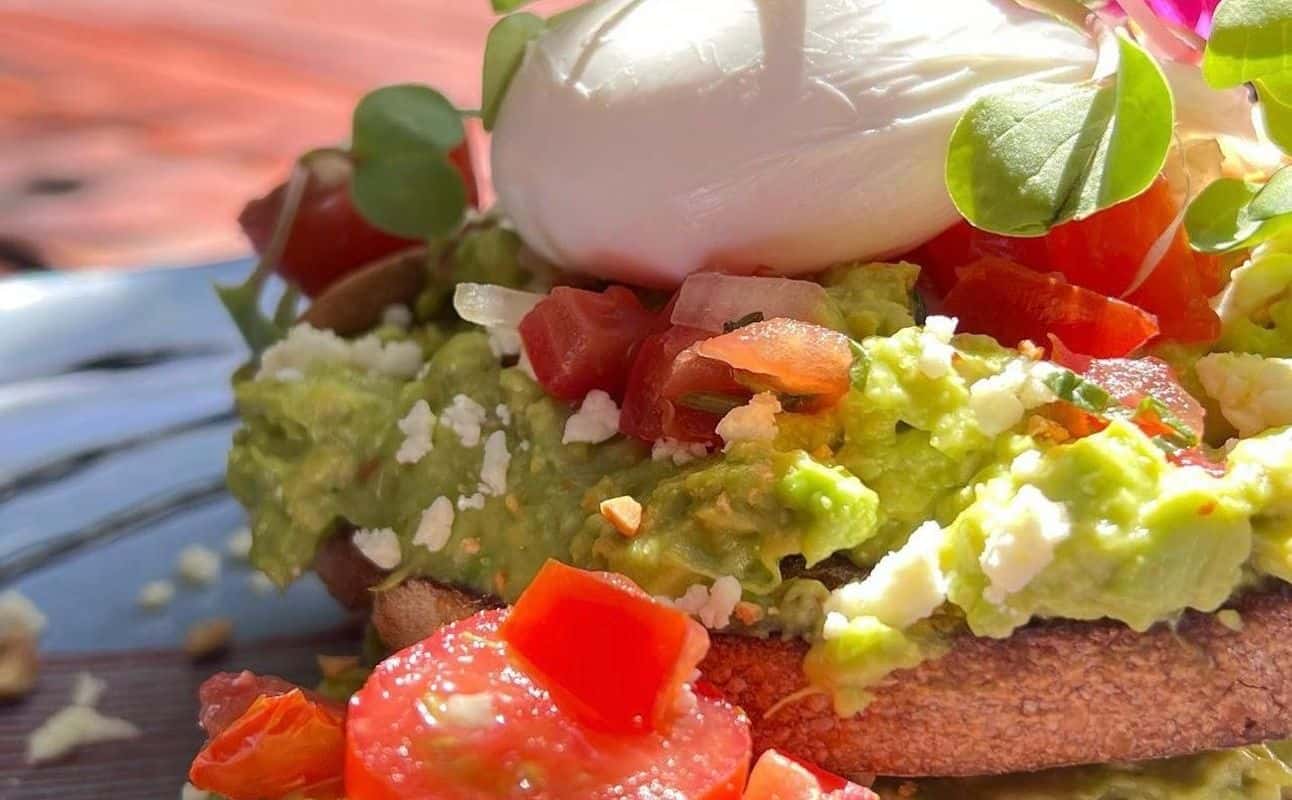 Enjoy Cafe, New Zealand, Vegetarian options, Vegan options, Cafe, Indoor & outdoor seating, Street parking, Wheelchair accessible, Highchairs available, Free wifi, $$, Business meetings and Families cuisine at The Plumm Cafe in Takapuna, Auckland