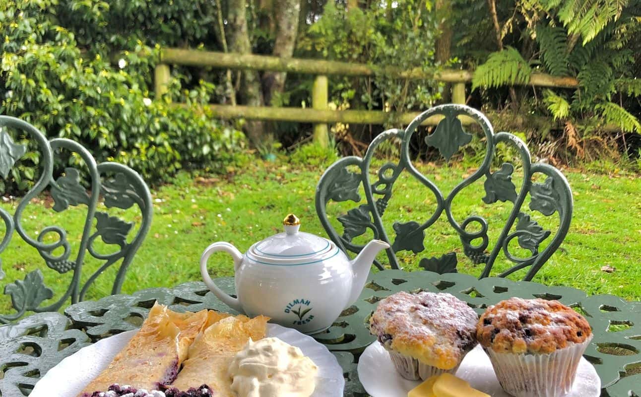 Enjoy Cafe cuisine at Mamaku Blue Blueberry Cafe in Mamaku, Rotorua