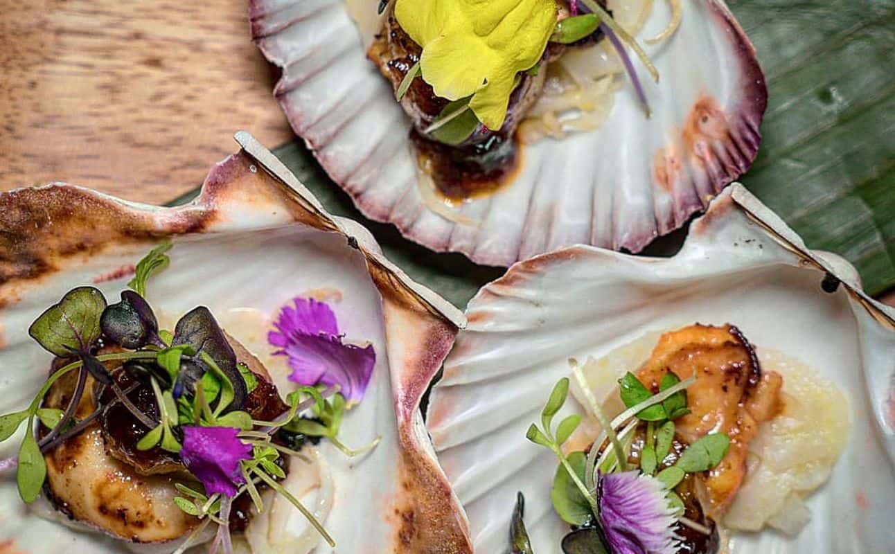 Enjoy Mediterranean and Small plates cuisine at Caravanserai in Auckland City Centre, Auckland