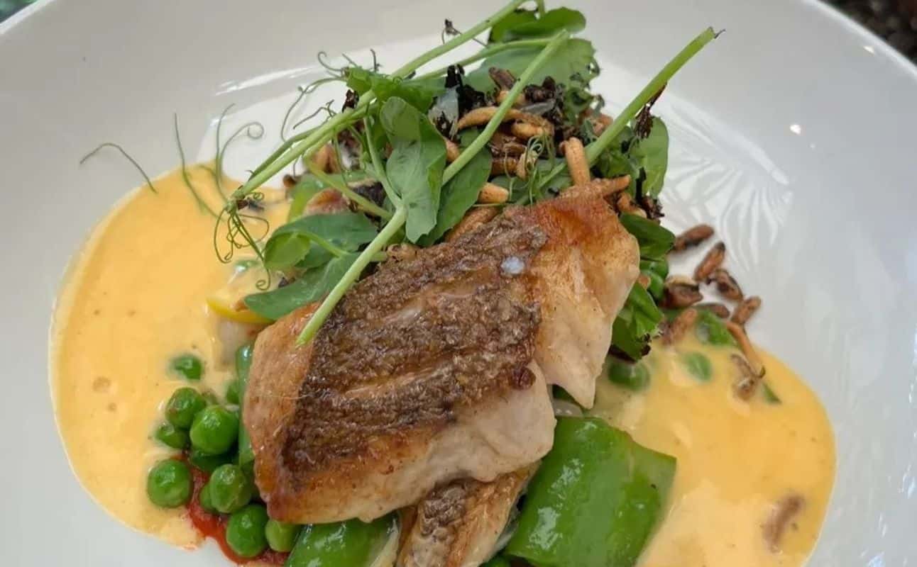 Enjoy New Zealand, Dairy free options, Gluten Free options, Vegan options, Vegetarian options, Restaurant, Cafe, Indoor & outdoor seating, Highchairs available, Table service, $$, Families, Groups and Date night cuisine at Olive in Te Aro, Wellington